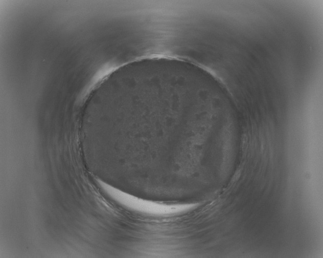 X0000077981359200611101651