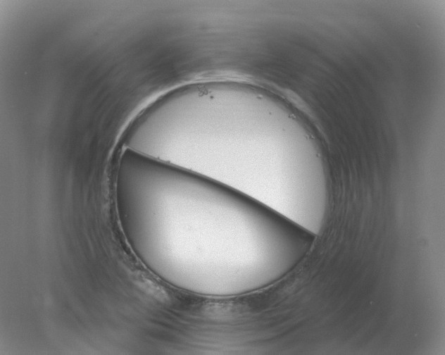 X0000077981364200611101651