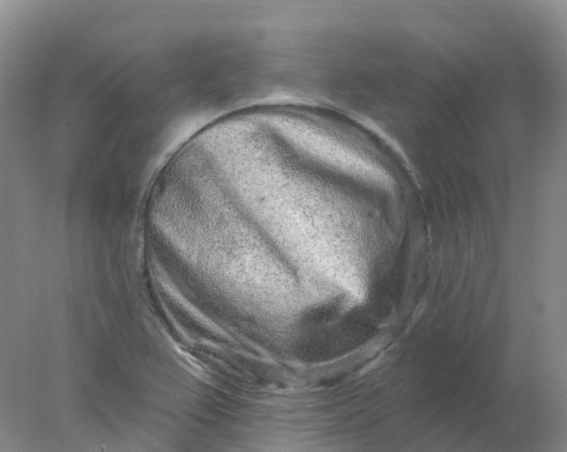 X0000077981367200611101651