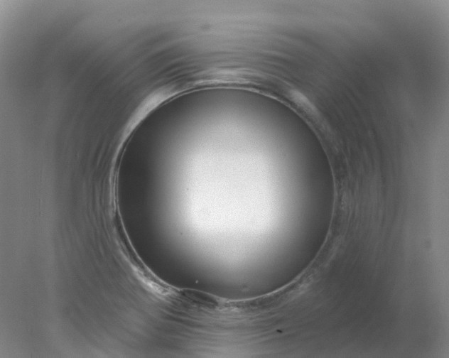 X0000077981370200611101651