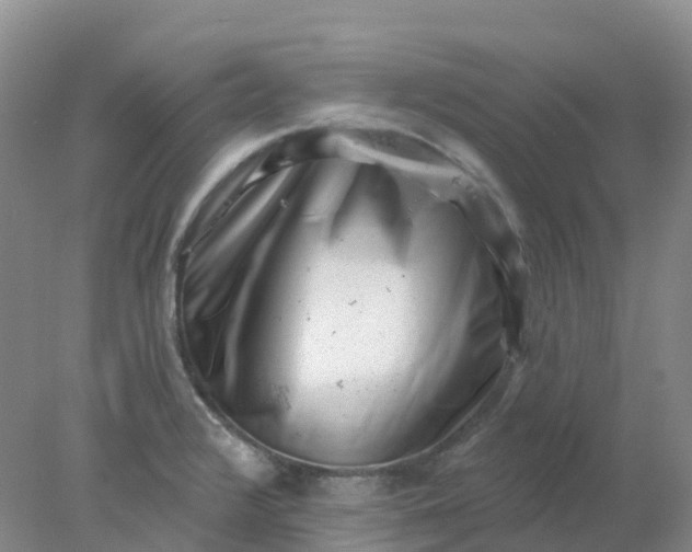 X0000077981376200611101651