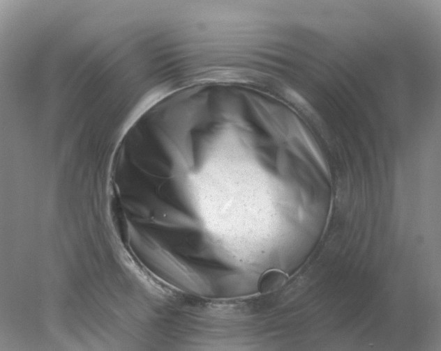 X0000077981378200611101651