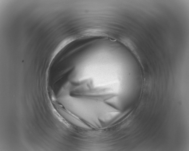 X0000077981386200611101651