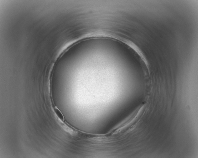 X0000077981388200611101651