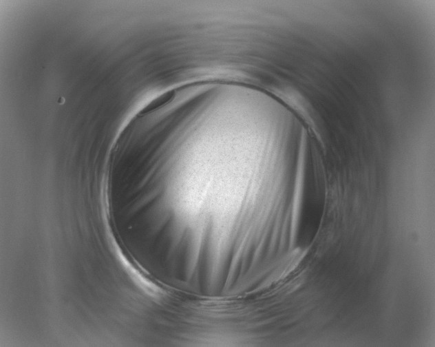 X0000077981391200611101651