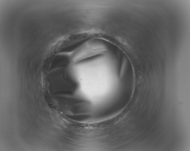 X0000077981398200611101650