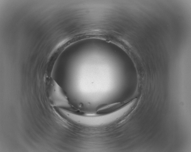 X0000077981402200611101650