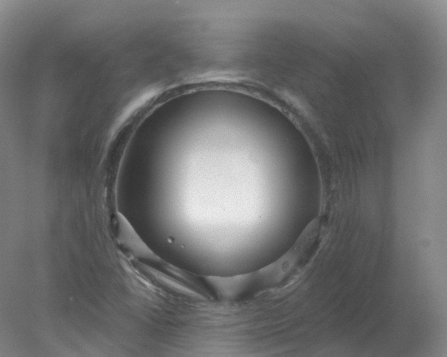 X0000077981406200611101650