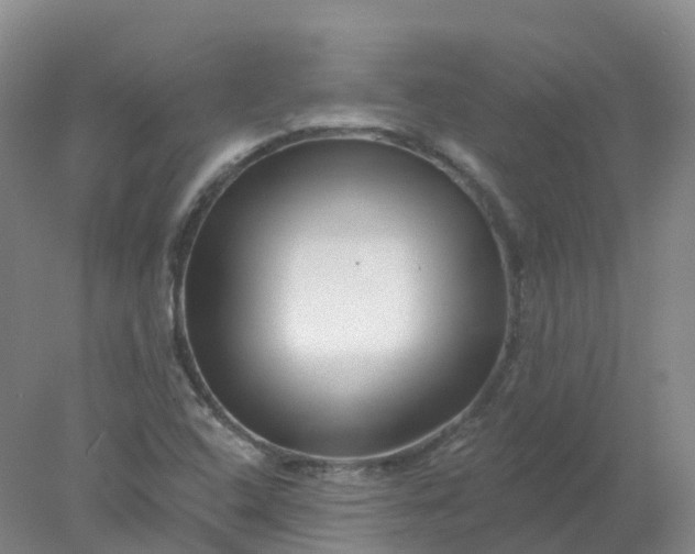 X0000077981408200611101650