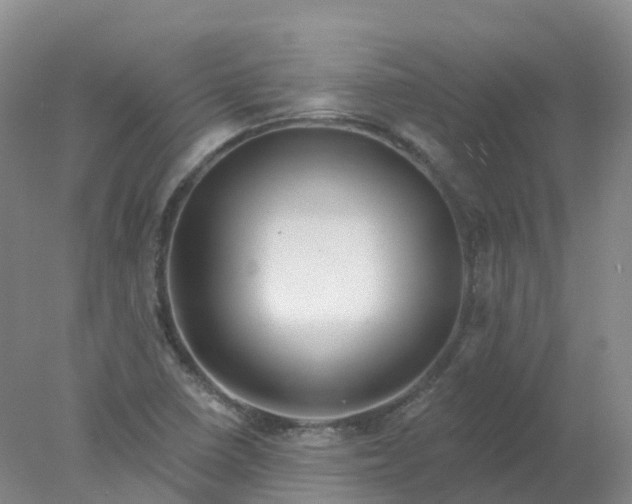 X0000077981410200611101650