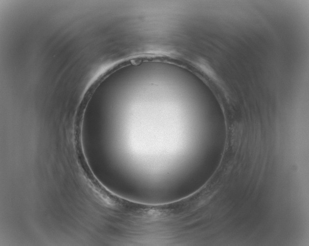 X0000077981412200611101650