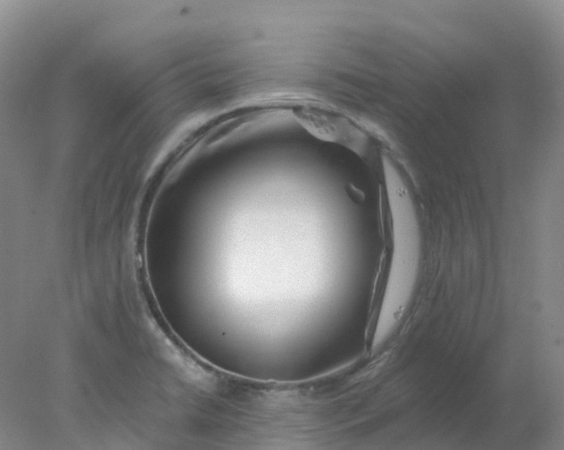 X0000077981422200611101650