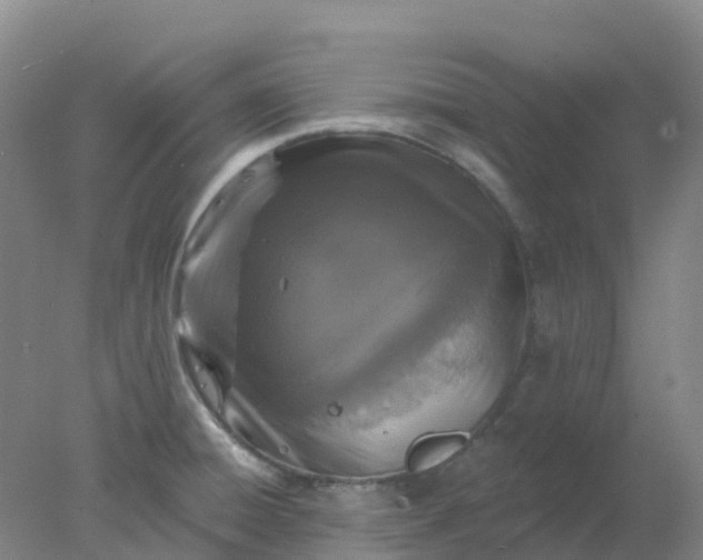 X0000077981428200611101650