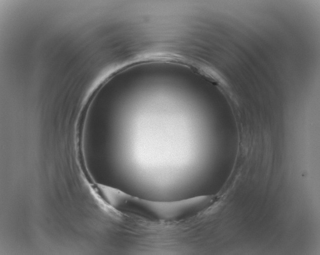 X0000077981430200611101650