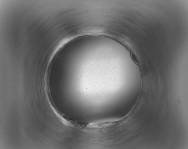 X0000077981432200611101651