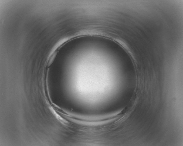 X0000077981438200611101651