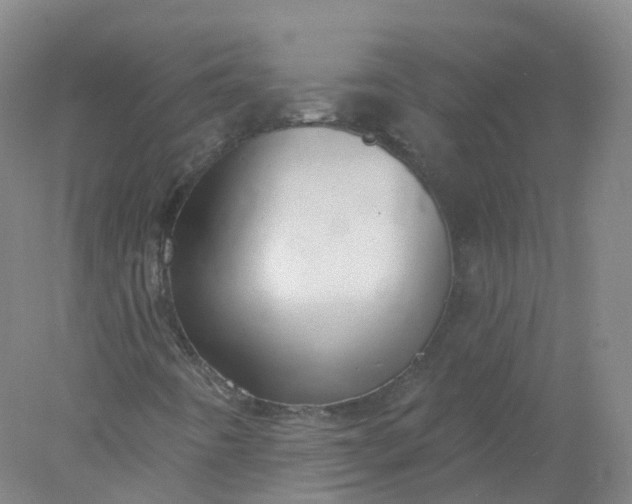 X0000077981442200611101650