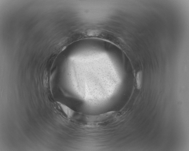 X0000077981443200611101650