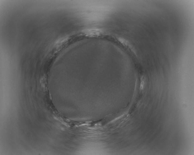 X0000077981445200611101650