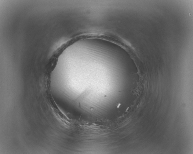 X0000077981448200611101650