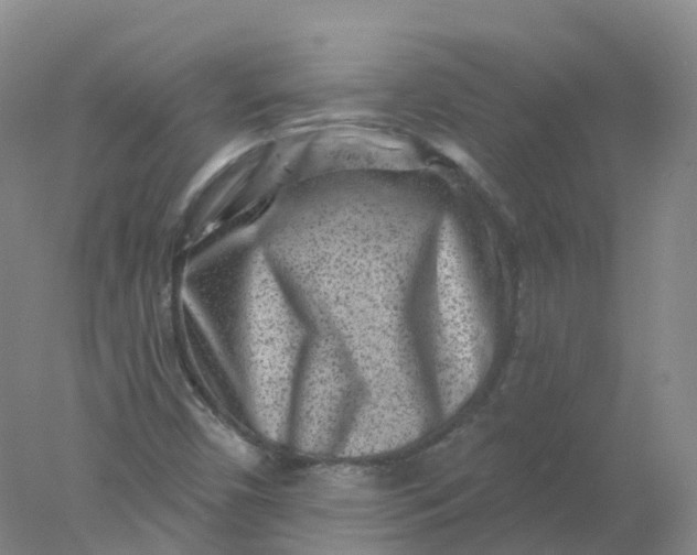 X0000077981450200611101650
