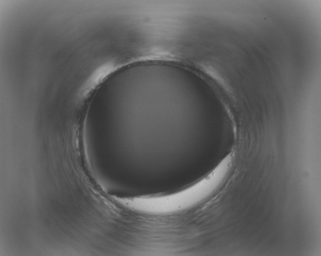 X0000077981455200611101650