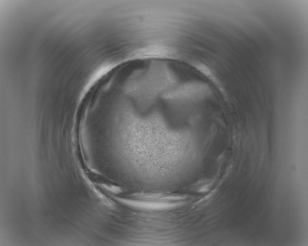 X0000077981469200611101649
