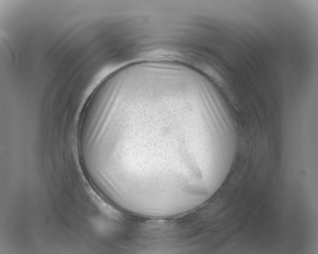 X0000077981478200611101649