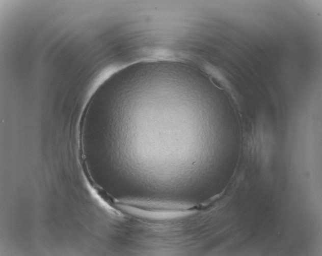 X0000077981479200611101649