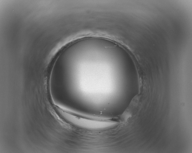 X0000077981503200611101648