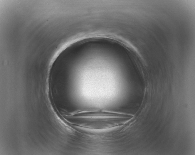 X0000077981512200611101649