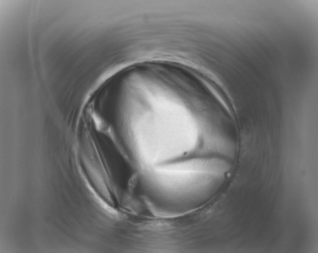 X0000077981525200611101649