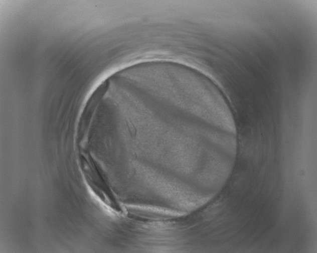 X0000077981527200611101649
