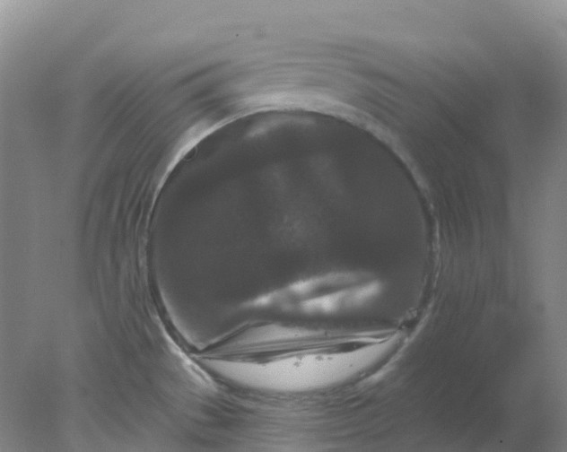 X0000077981529200611101649
