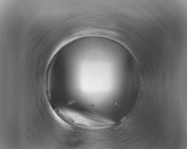X0000077981531200611101649