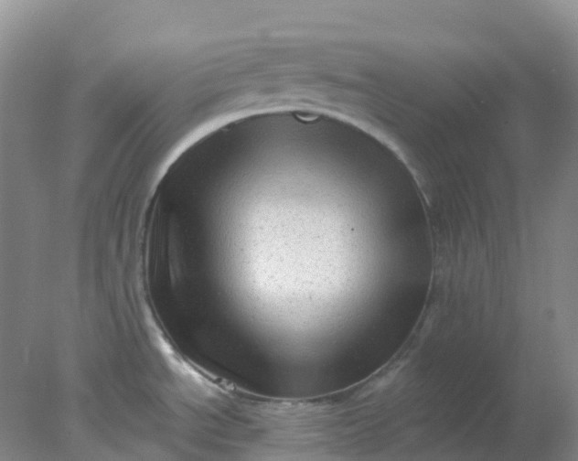 X0000077981534200611101649