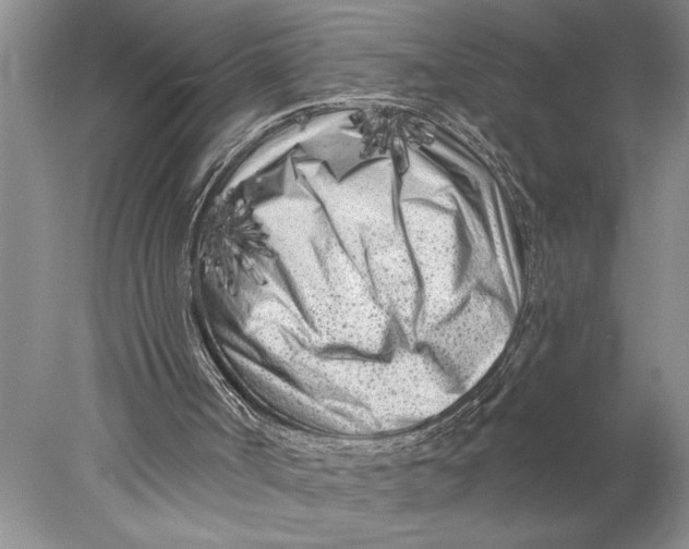 X0000077980002200611171741