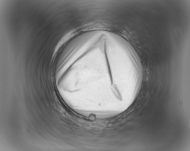 X0000077980004200611171741