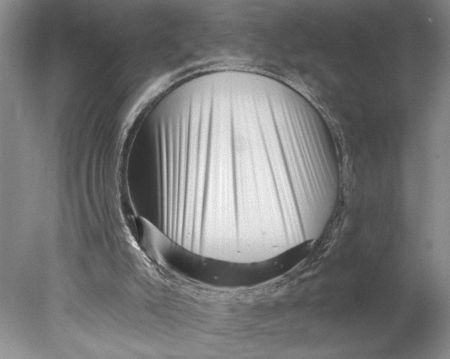 X0000077980007200611171740
