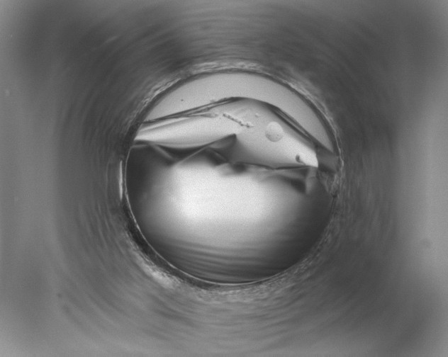 X0000077980013200611171740