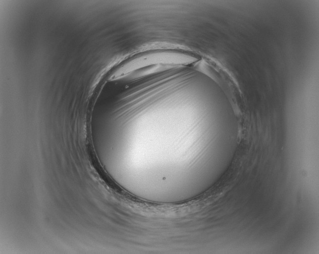 X0000077980015200611171740