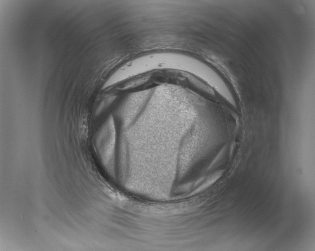 X0000077980017200611171740