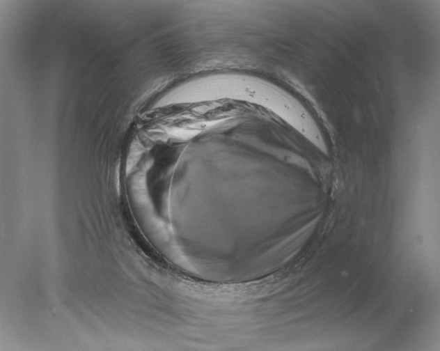 X0000077980019200611171740