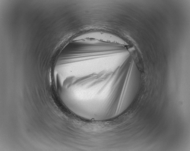 X0000077980020200611171740