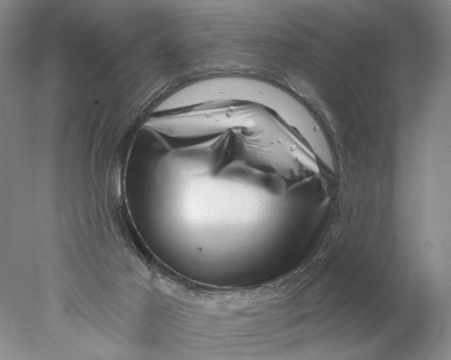 X0000077980021200611171740