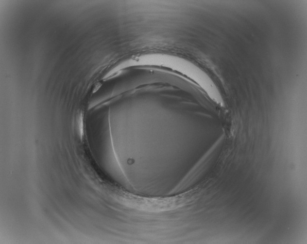 X0000077980027200611171740