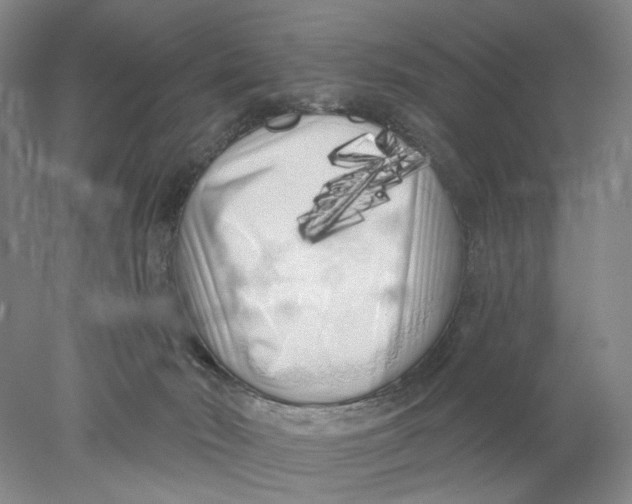 X0000077980030200611171740
