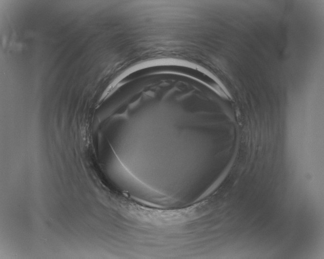 X0000077980031200611171740