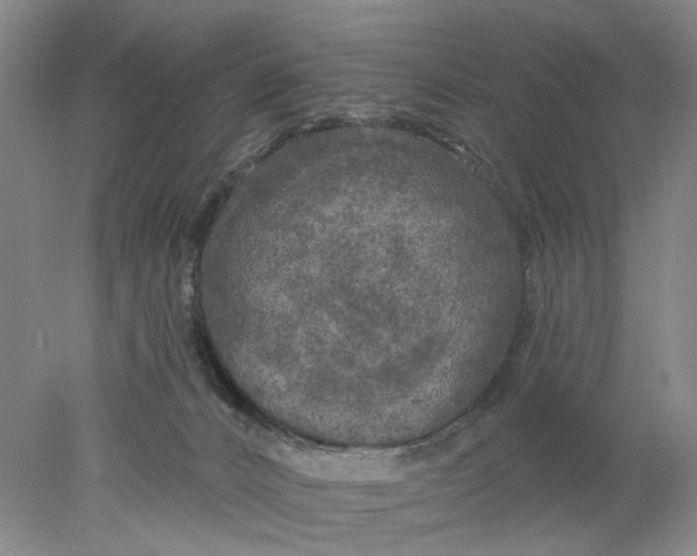 X0000077980032200611171740