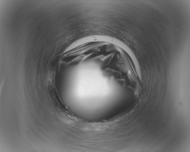 X0000077980033200611171740